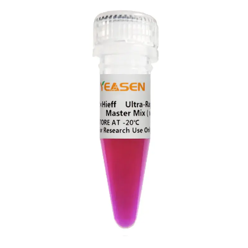 [1015-10102ES03] 2×Hieff PCR Master Mix  With Dye
