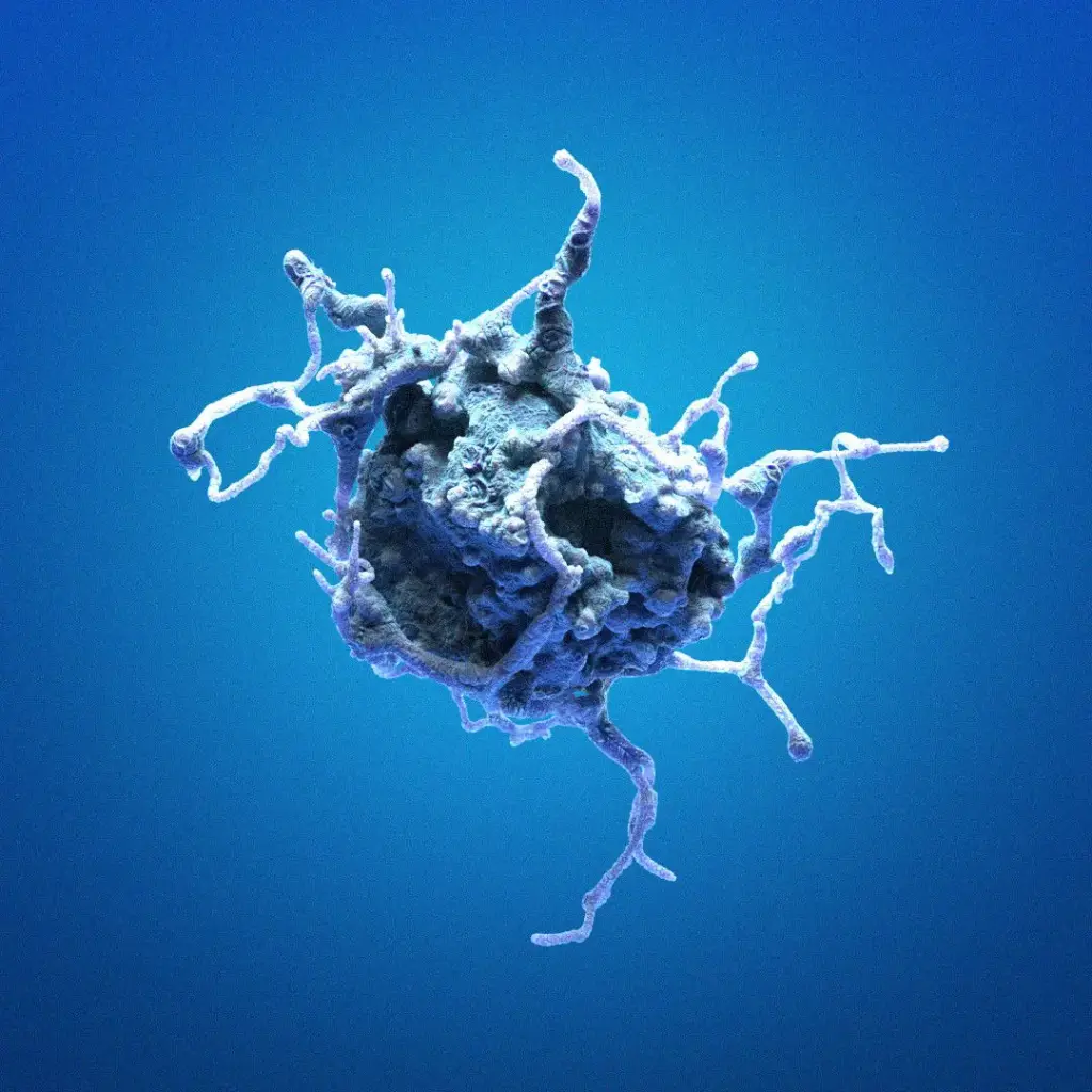 [GEN301568-MA] HK-CRISPR-CAP-H-mEGFP Cells